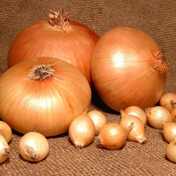 Новые адреса onion